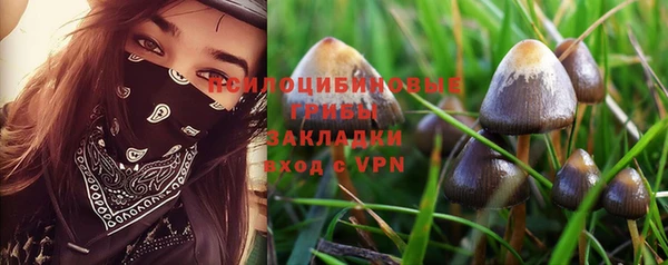 спиды Алзамай