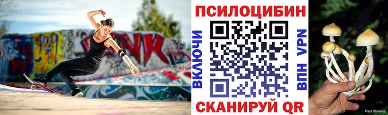 наркотики  Малаховка  Псилоцибиновые грибы MAGIC MUSHROOMS 
